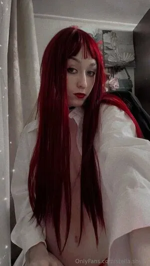 Stella_blossomm