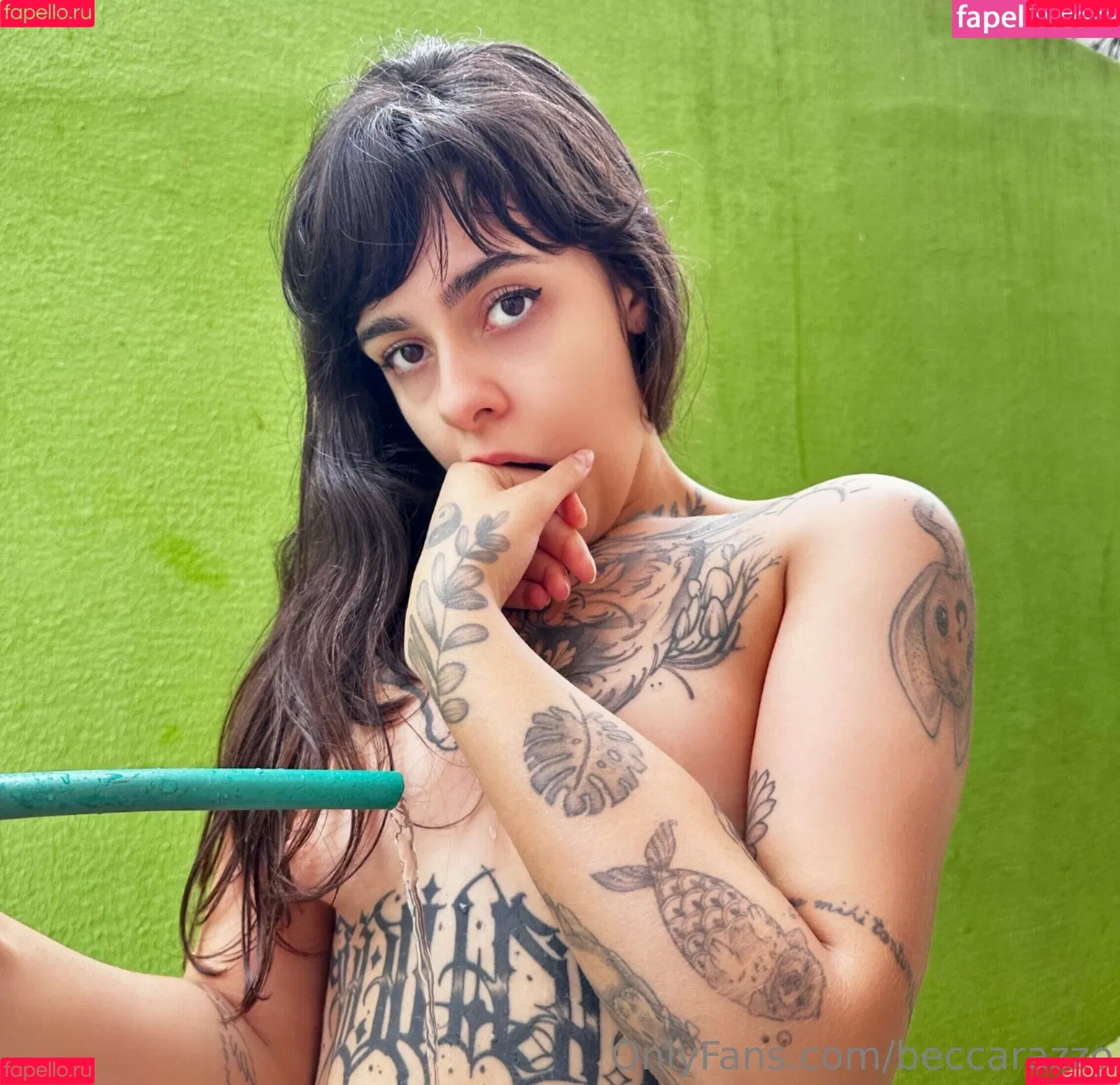 Beccarazzo Onlyfans Photo Gallery 