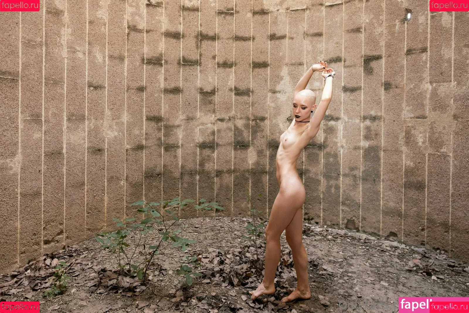 goddess_tiereny Onlyfans Photo Gallery 