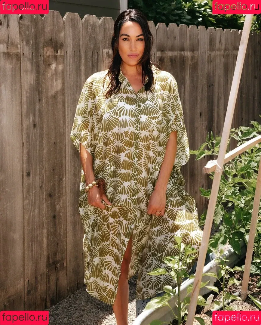 Nikki Bella Onlyfans Photo Gallery 