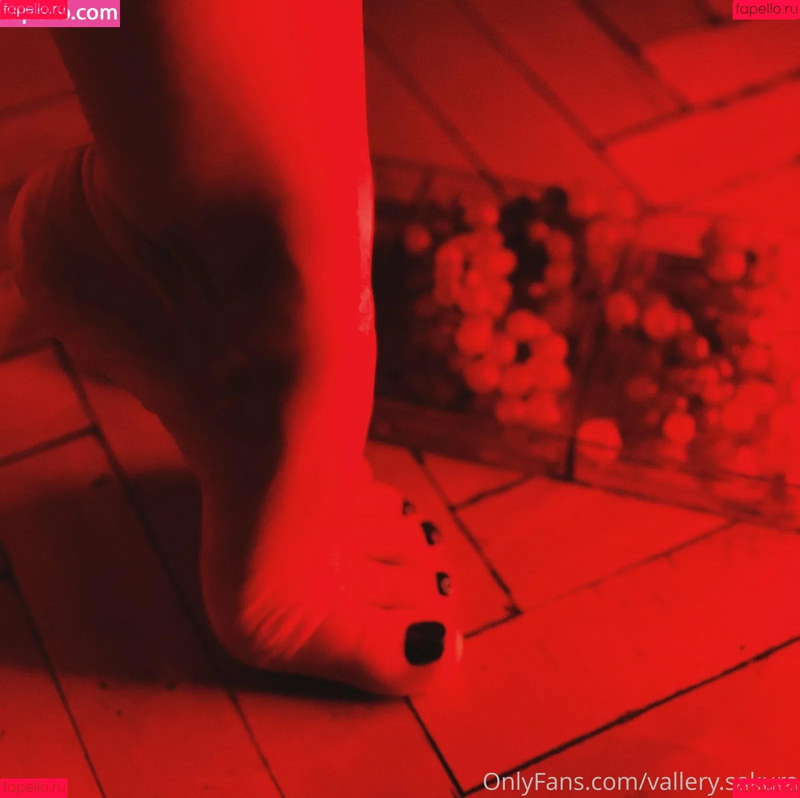 vallery_sakura Onlyfans Photo Gallery 