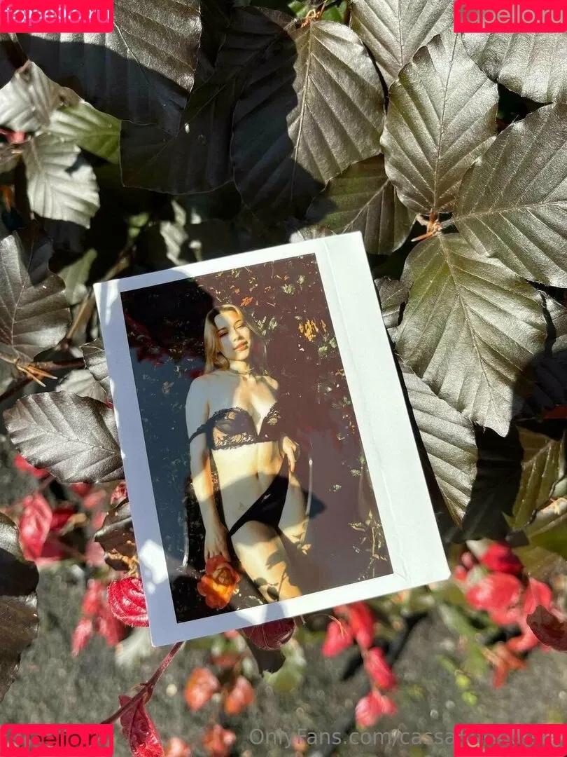 cassandra.delia aka katarina.meis Onlyfans Photo Gallery 