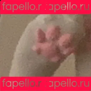 denpafish Onlyfans Photo Gallery 