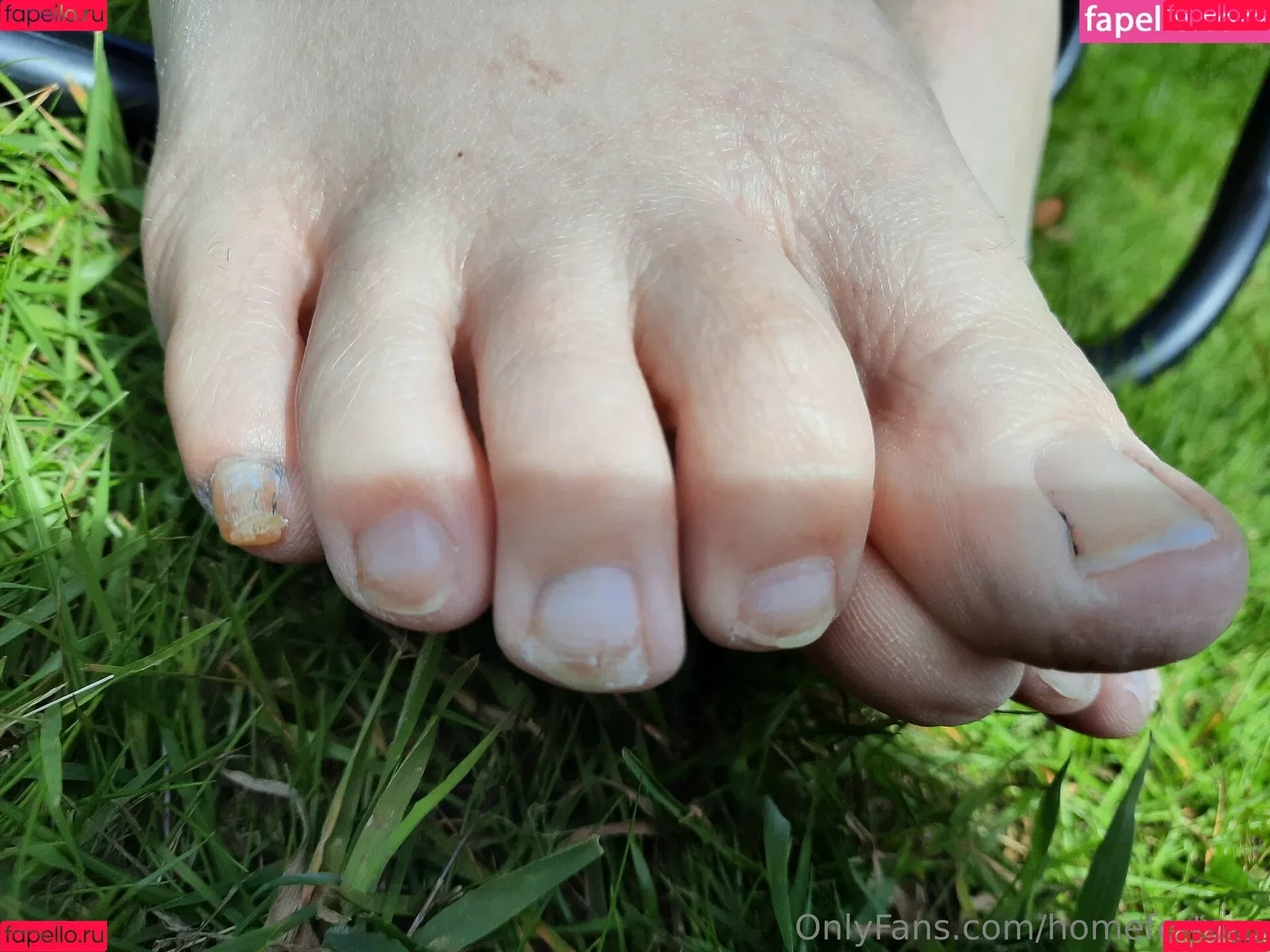 homefortoes Onlyfans Photo Gallery 