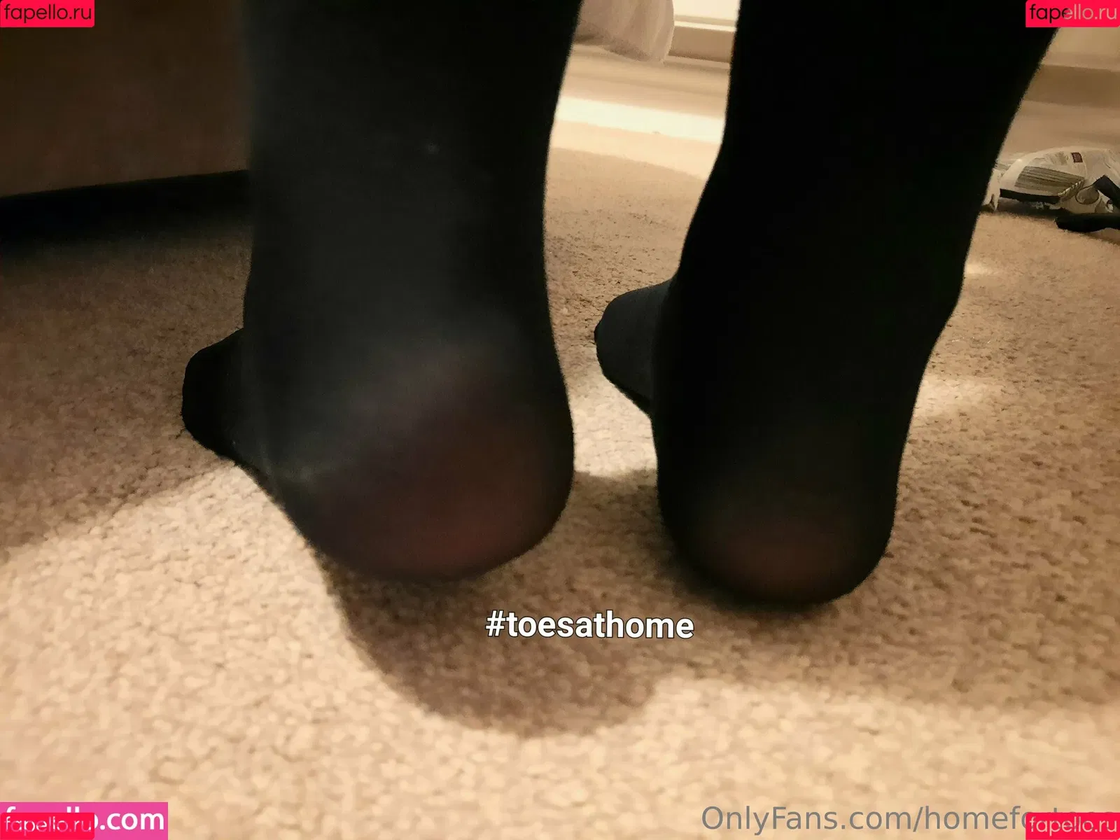 homefortoes Onlyfans Photo Gallery 
