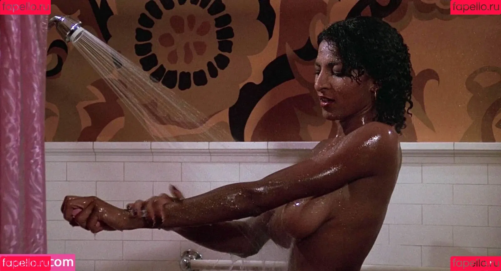 Pam Grier Onlyfans Photo Gallery 