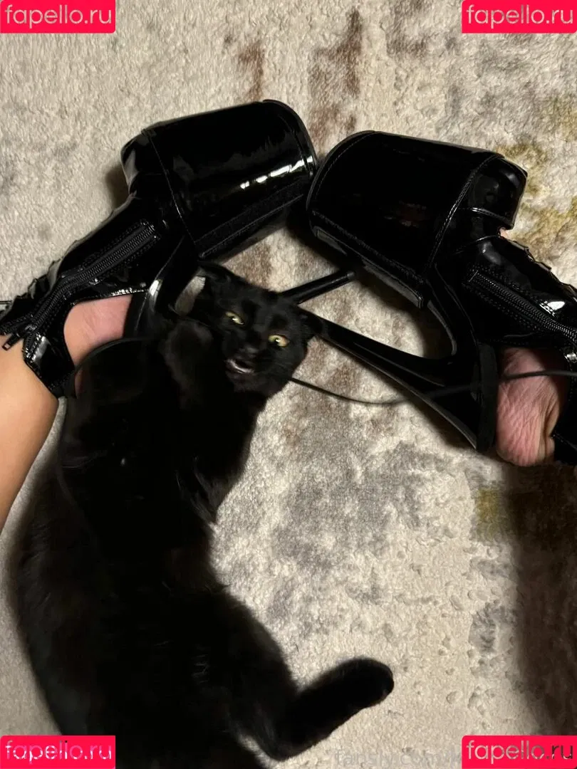 MonroCocos Onlyfans Photo Gallery 