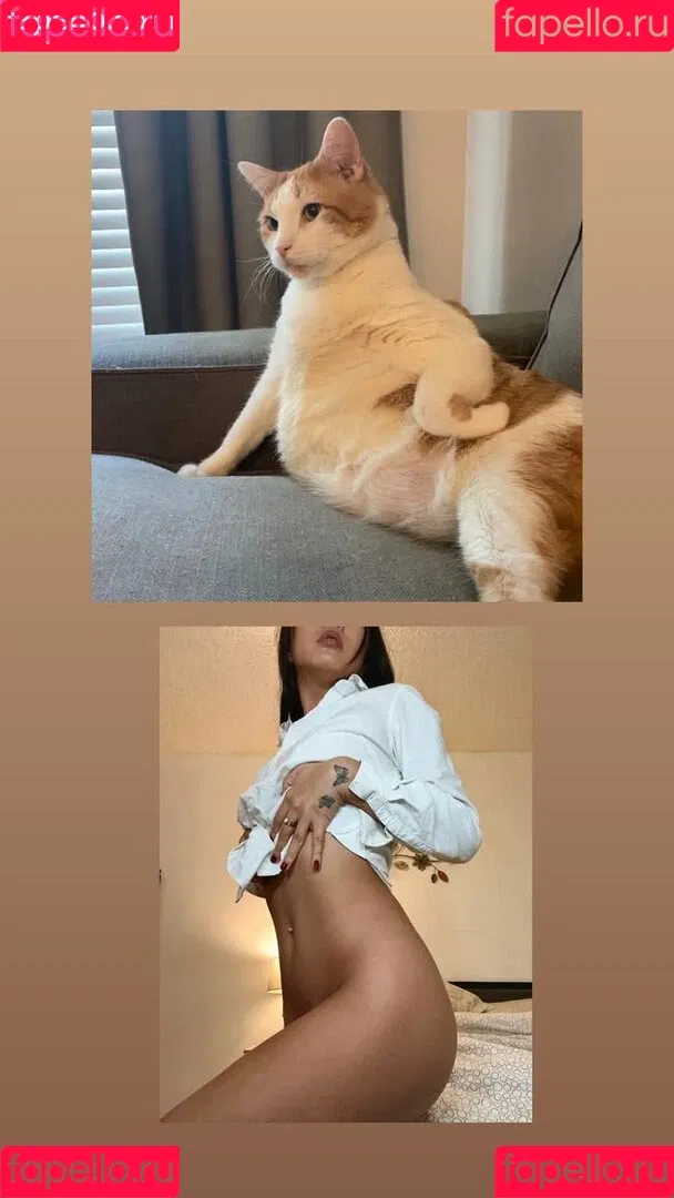 Kylie Cheung Onlyfans Photo Gallery 