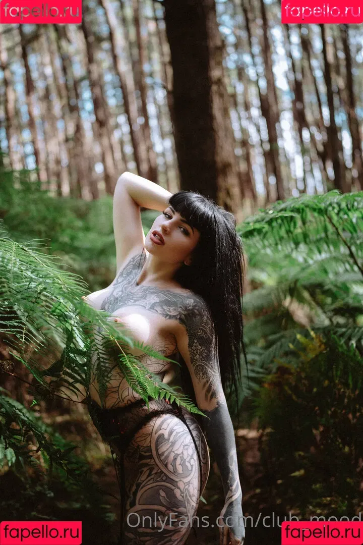 clubmood Onlyfans Photo Gallery 