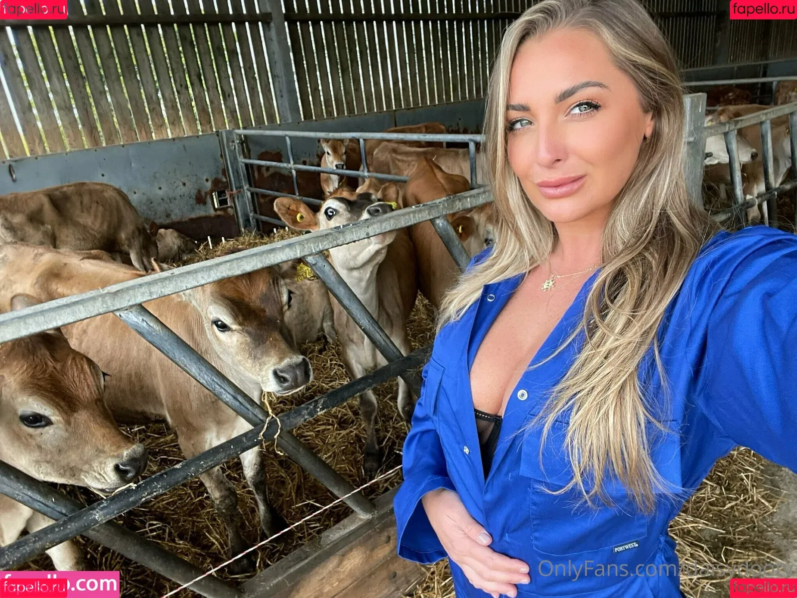 daisydootv Onlyfans Photo Gallery 