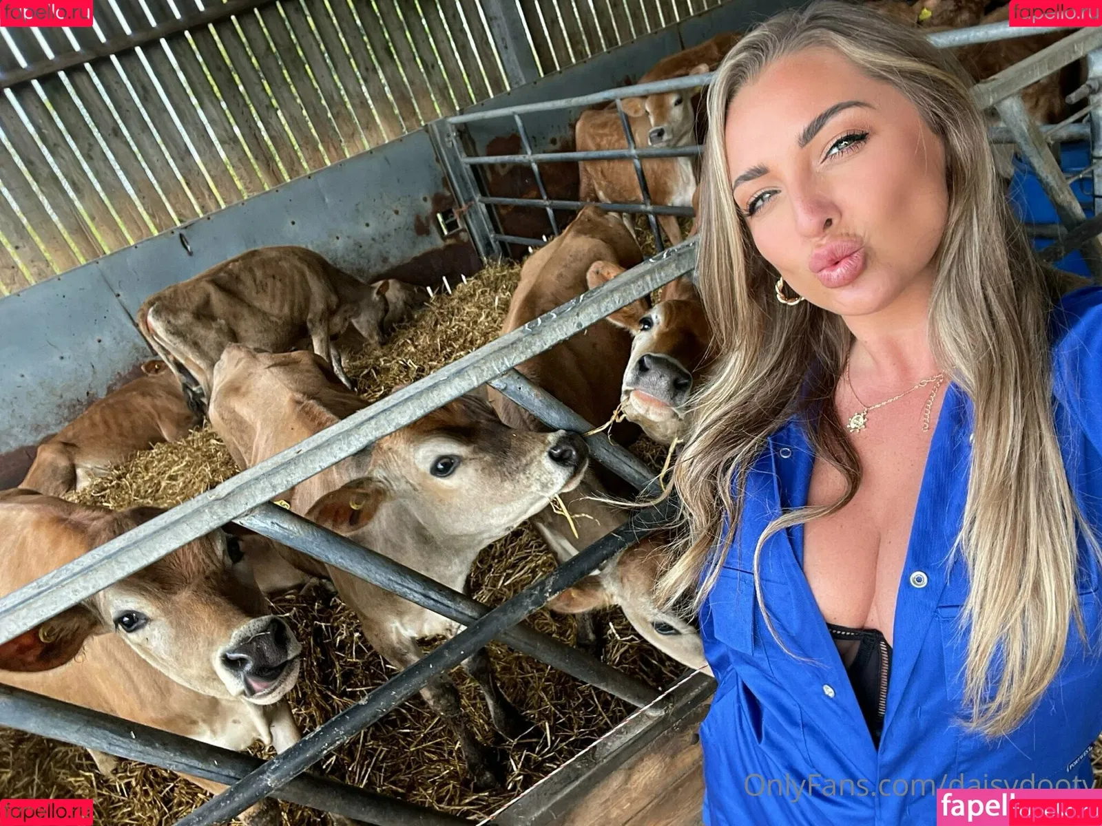 daisydootv Onlyfans Photo Gallery 