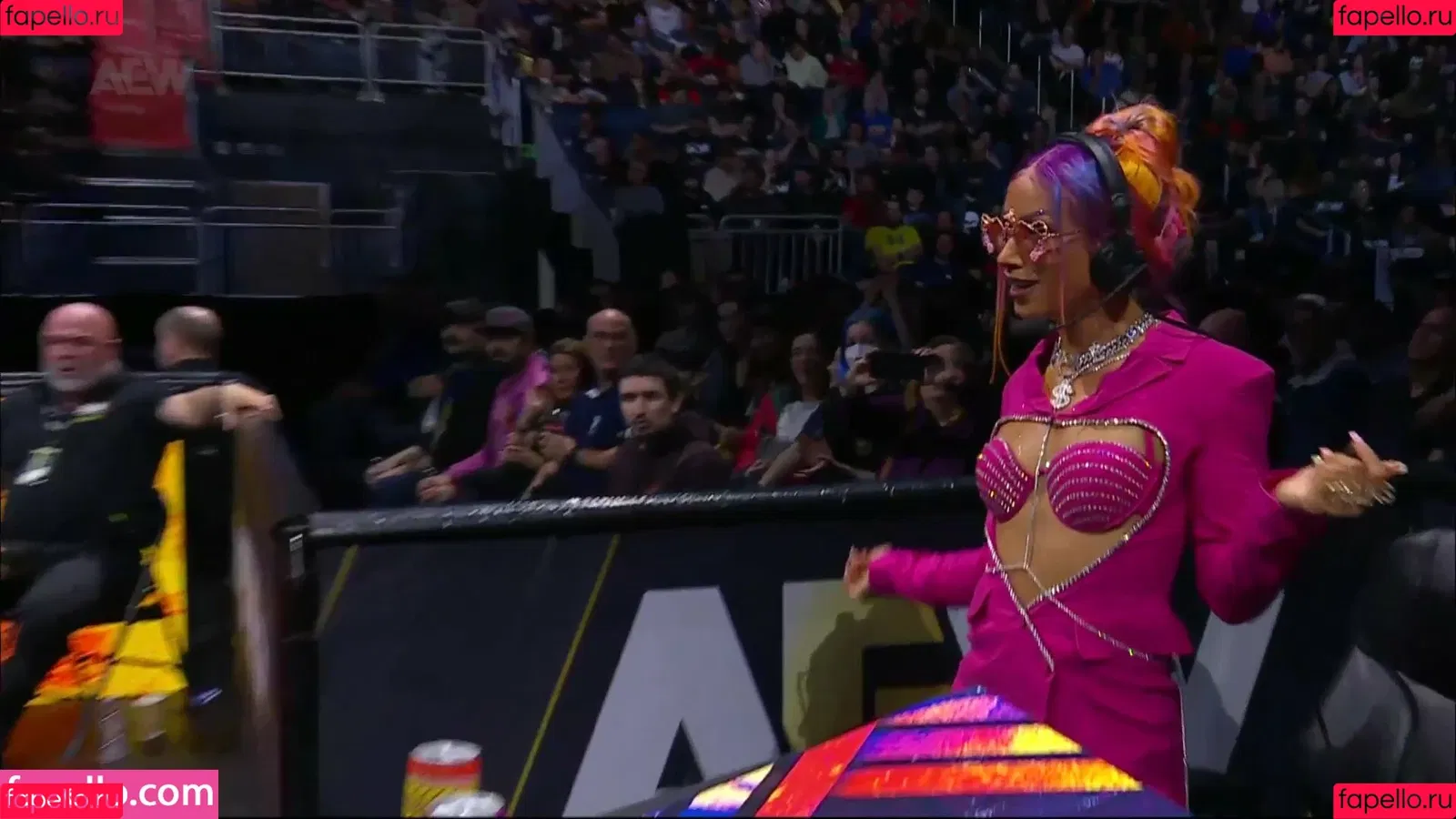 Sasha Banks Onlyfans Photo Gallery 
