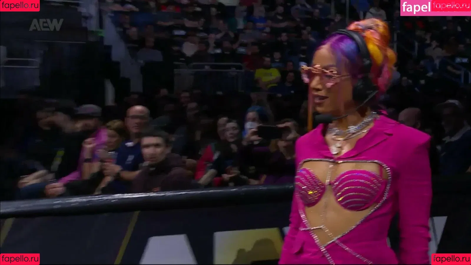 Sasha Banks Onlyfans Photo Gallery 