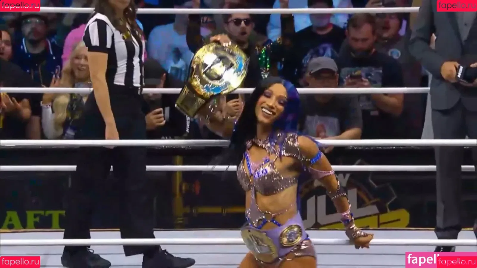 Sasha Banks Onlyfans Photo Gallery 
