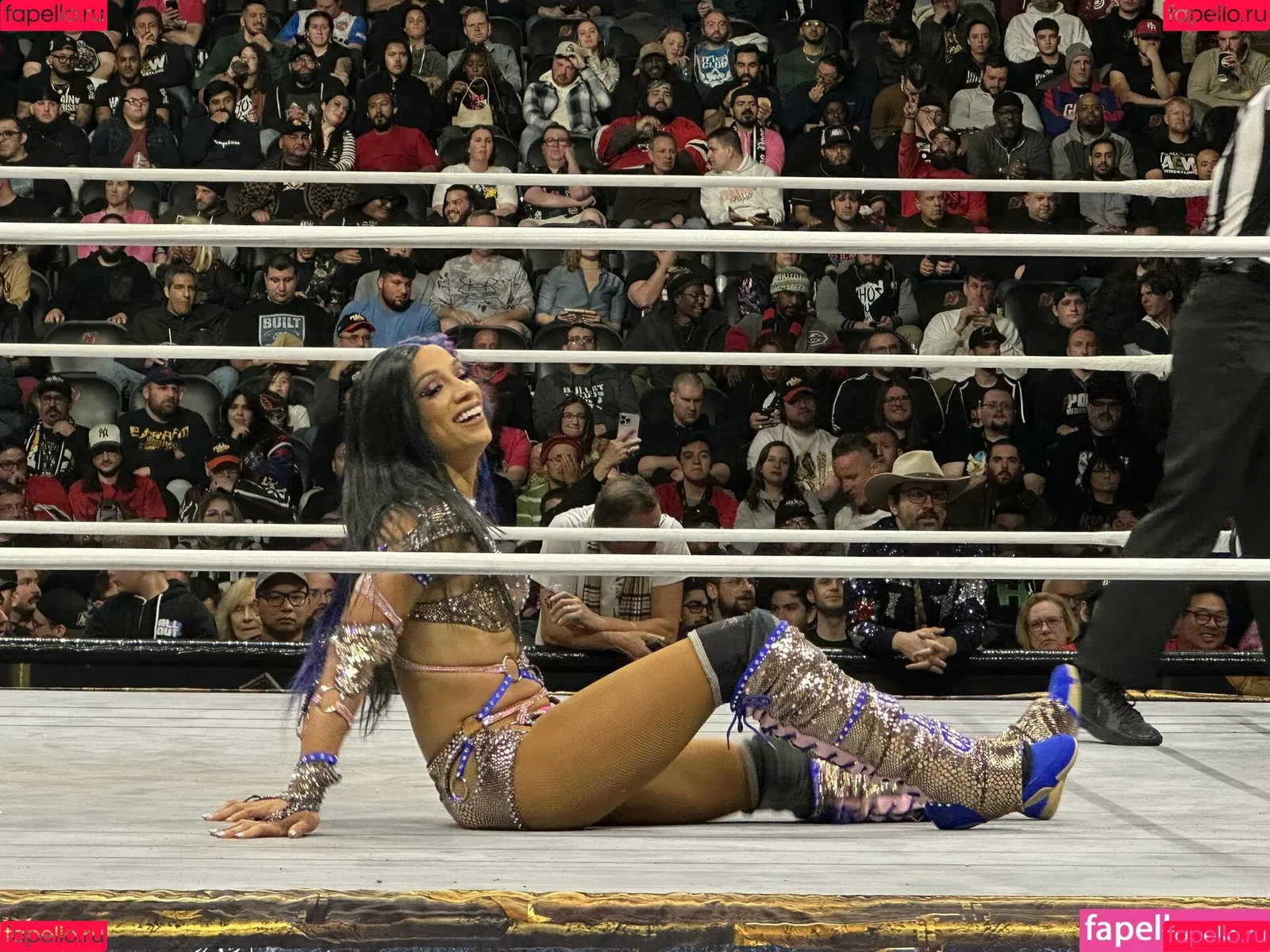 Sasha Banks Onlyfans Photo Gallery 