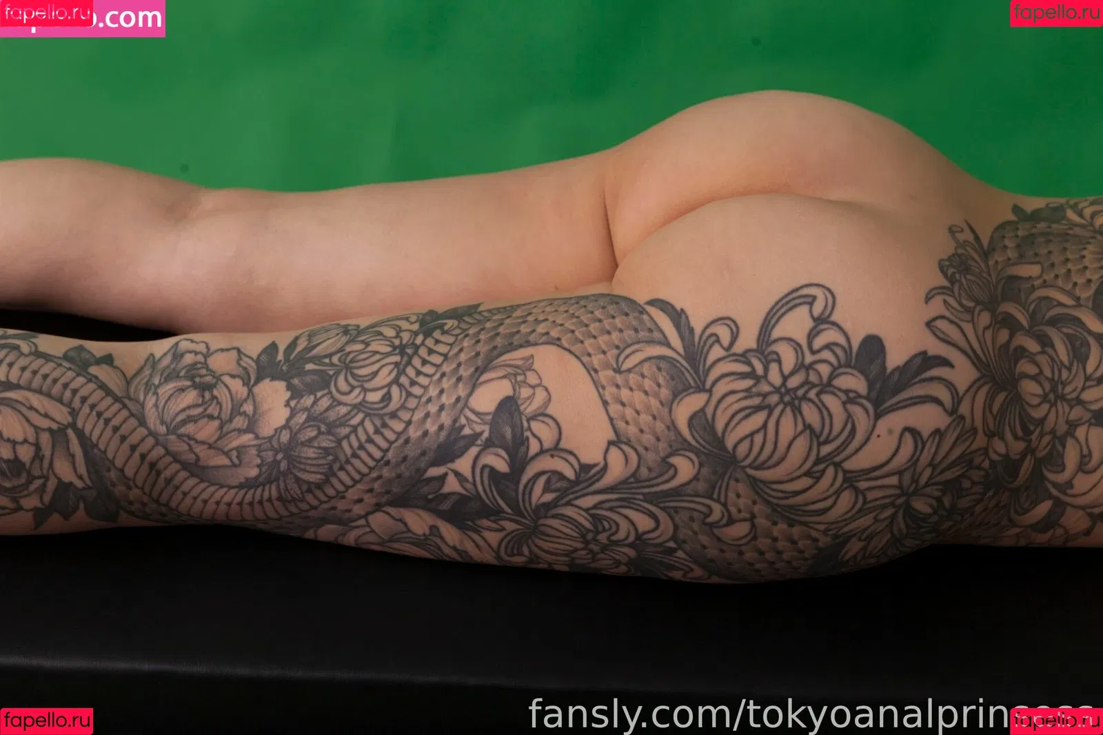 Tokyo Anal Princess Onlyfans Photo Gallery 