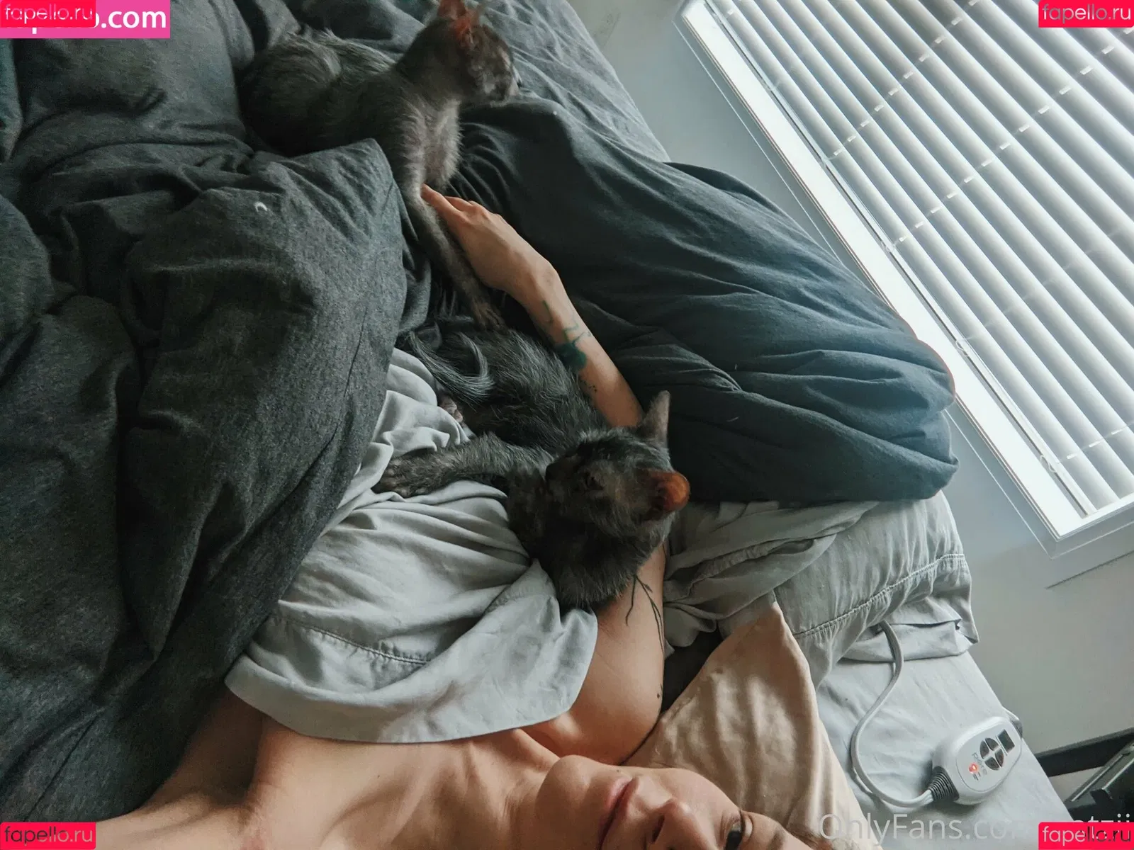 Catziilla Onlyfans Photo Gallery 