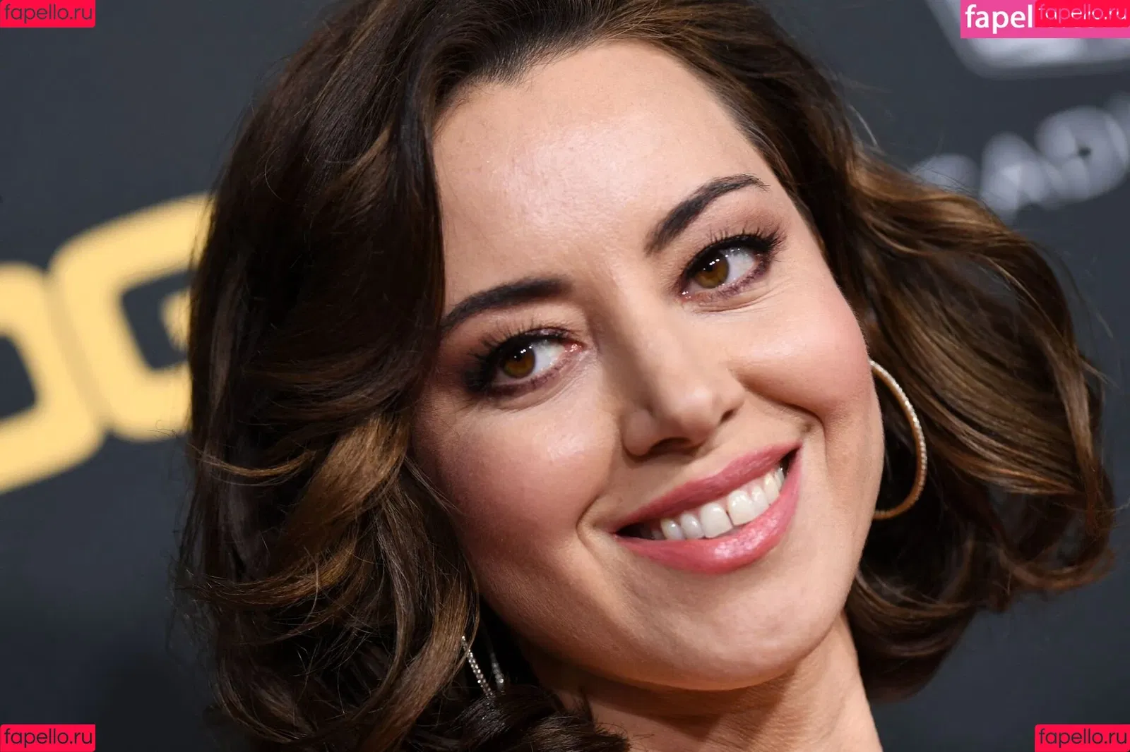 Aubrey Plaza Onlyfans Photo Gallery 