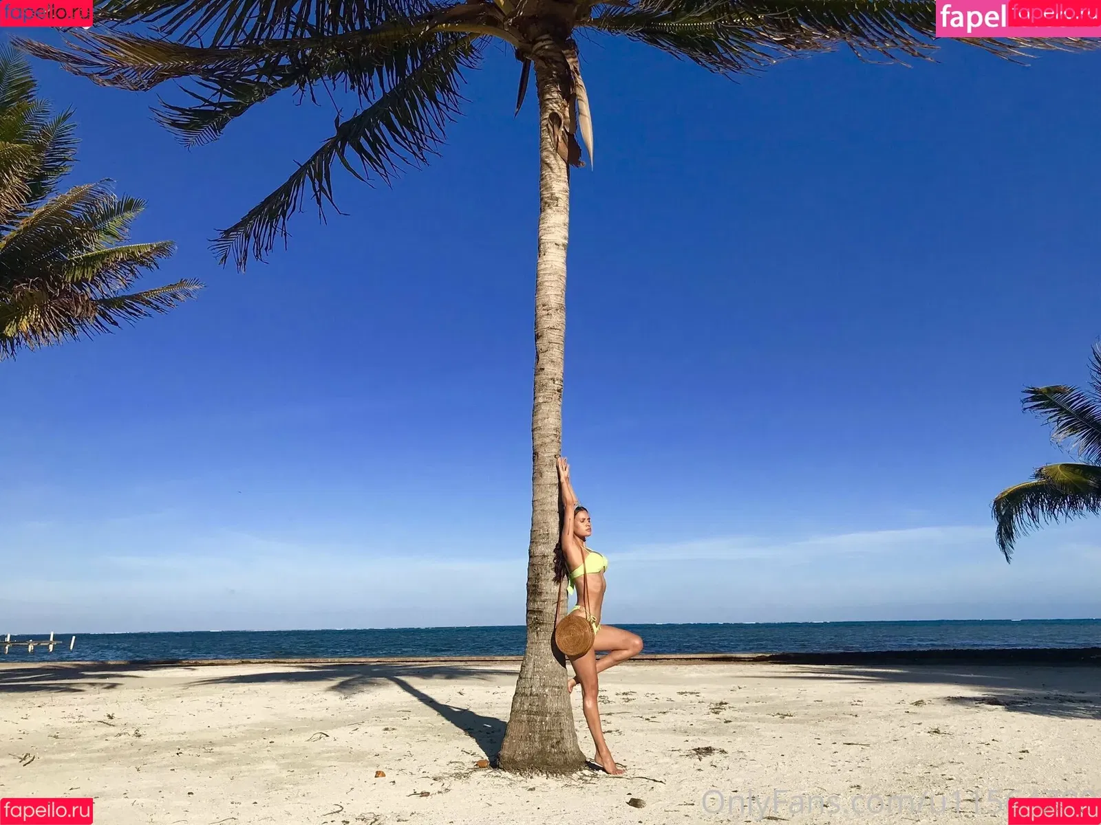 Vanessa Veracruz Onlyfans Photo Gallery 