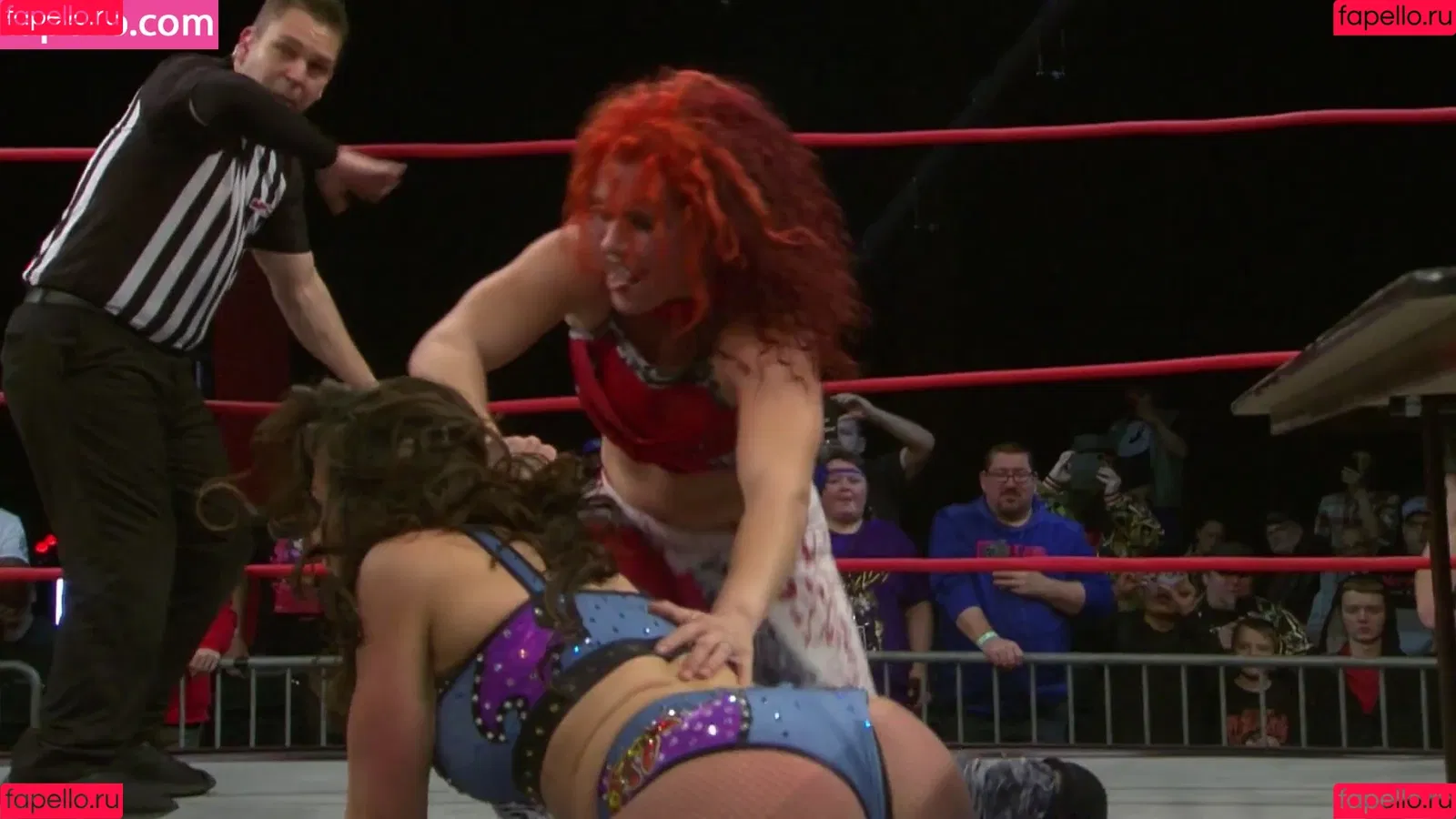 Mickie James Onlyfans Photo Gallery 