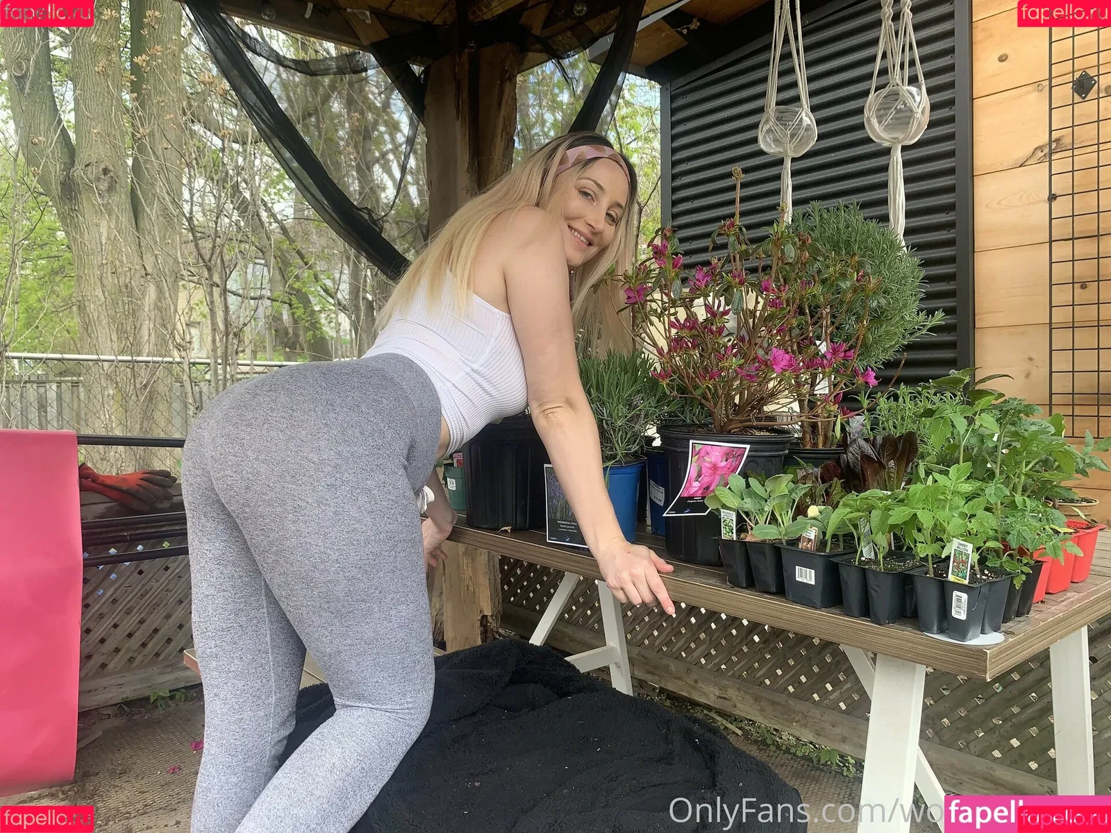 wolfofthewild Onlyfans Photo Gallery 