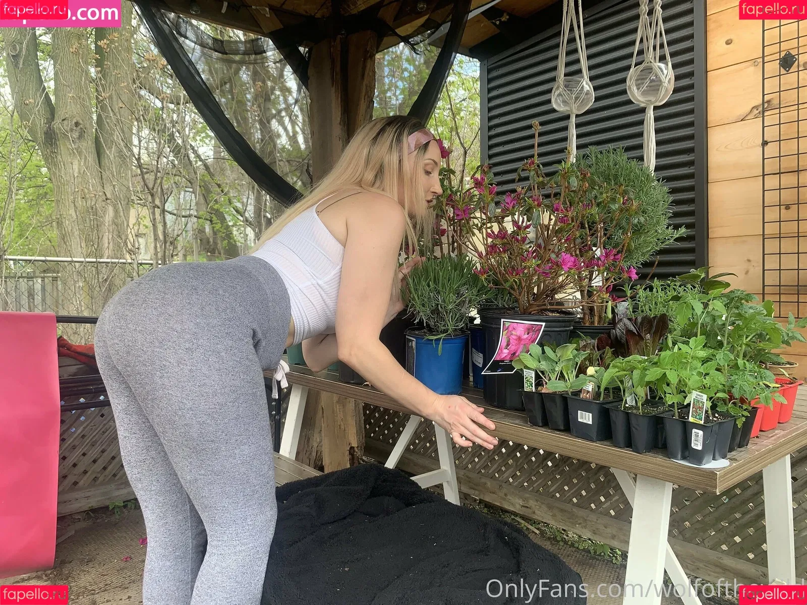 wolfofthewild Onlyfans Photo Gallery 