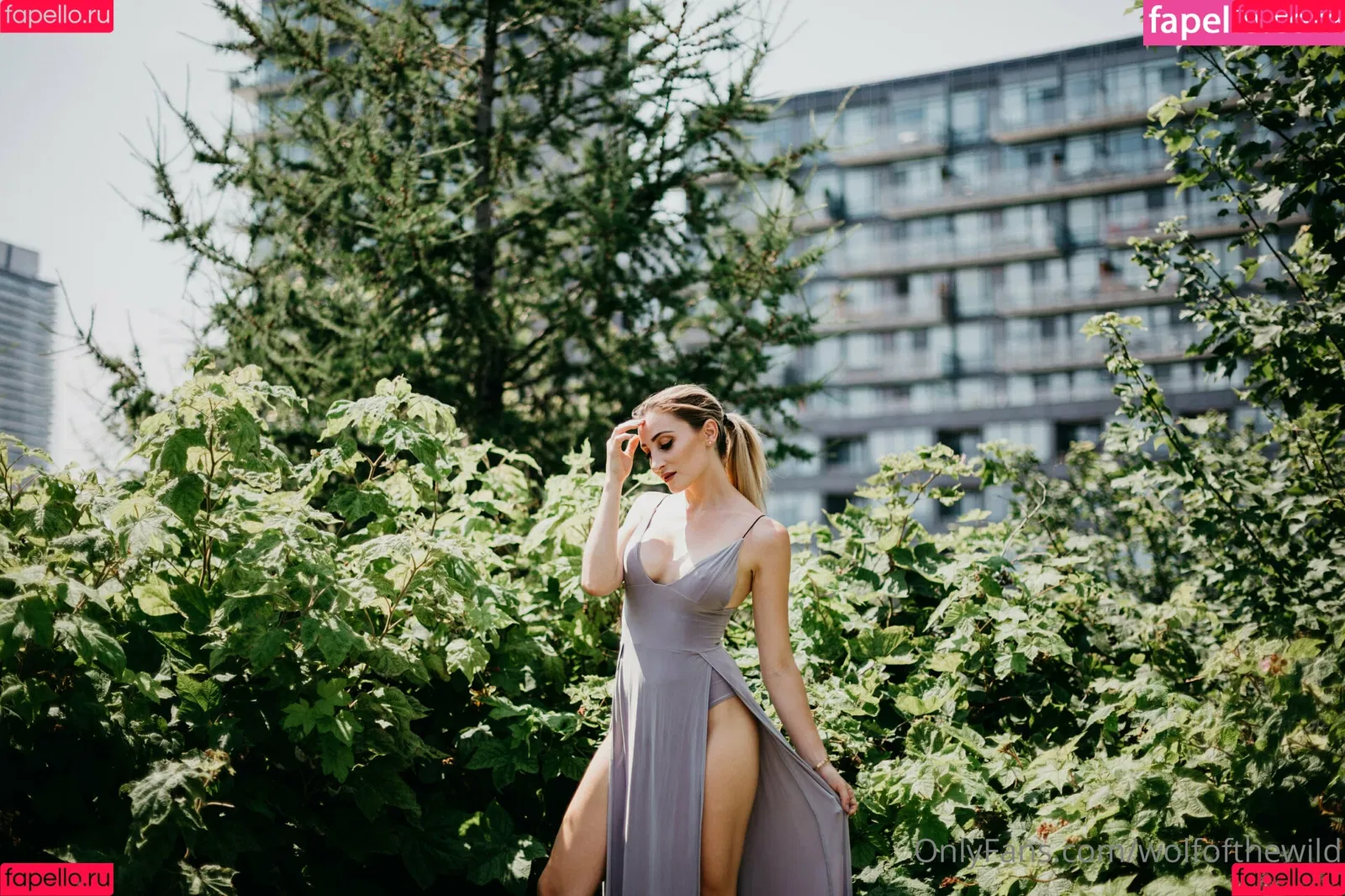 wolfofthewild Onlyfans Photo Gallery 