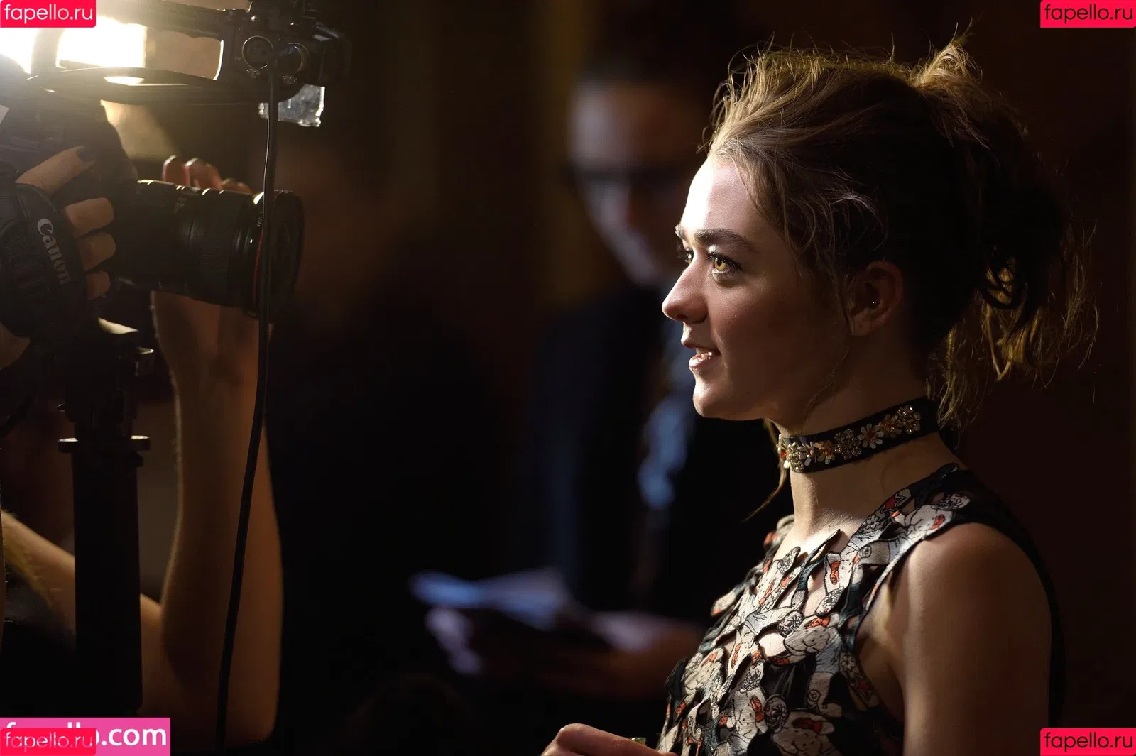 Maisie Williams Onlyfans Photo Gallery 