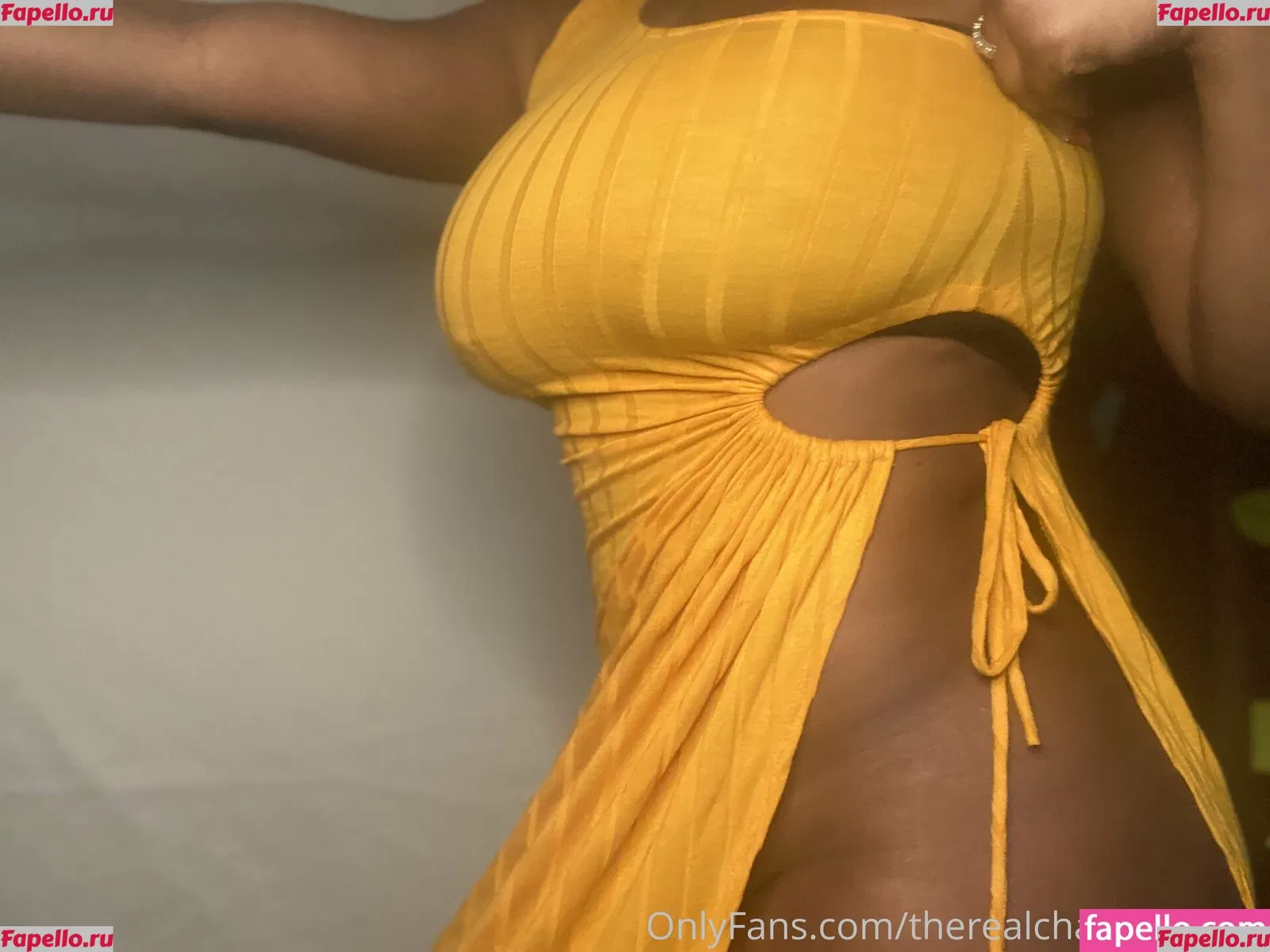 therealchanellealicia Onlyfans Photo Gallery 