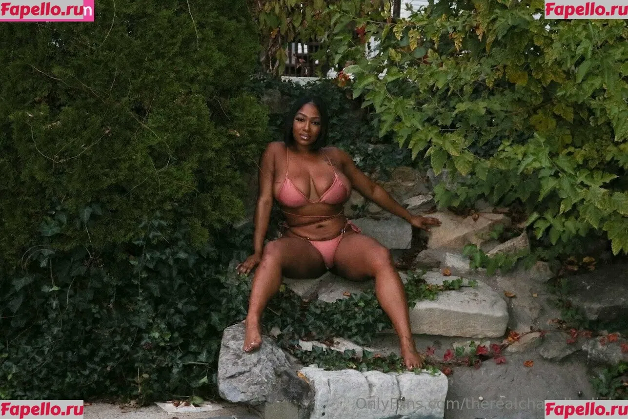 therealchanellealicia Onlyfans Photo Gallery 