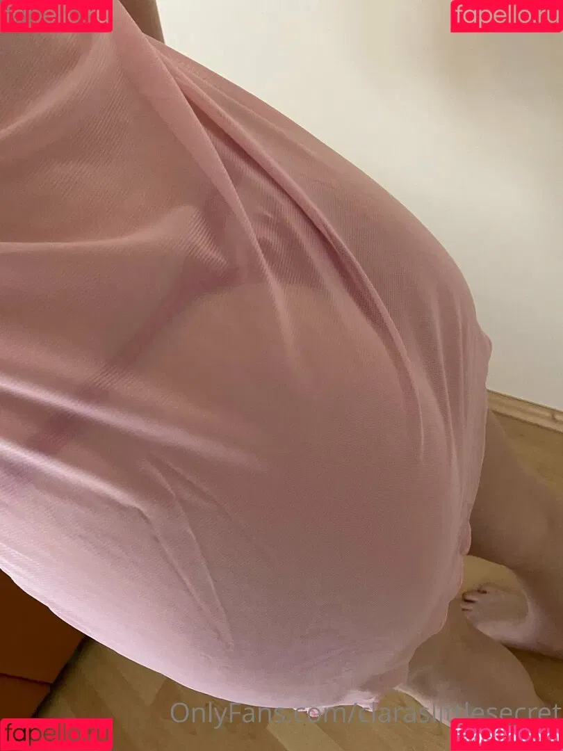 claraslittlesecret Onlyfans Photo Gallery 