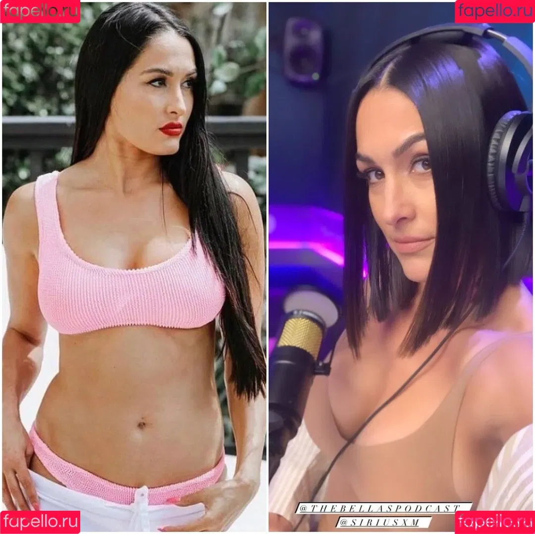 The Bella Twins: Onlyfans Photo Gallery 