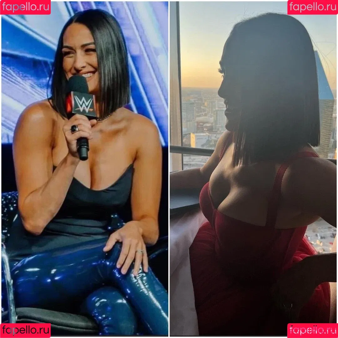 The Bella Twins: Onlyfans Photo Gallery 