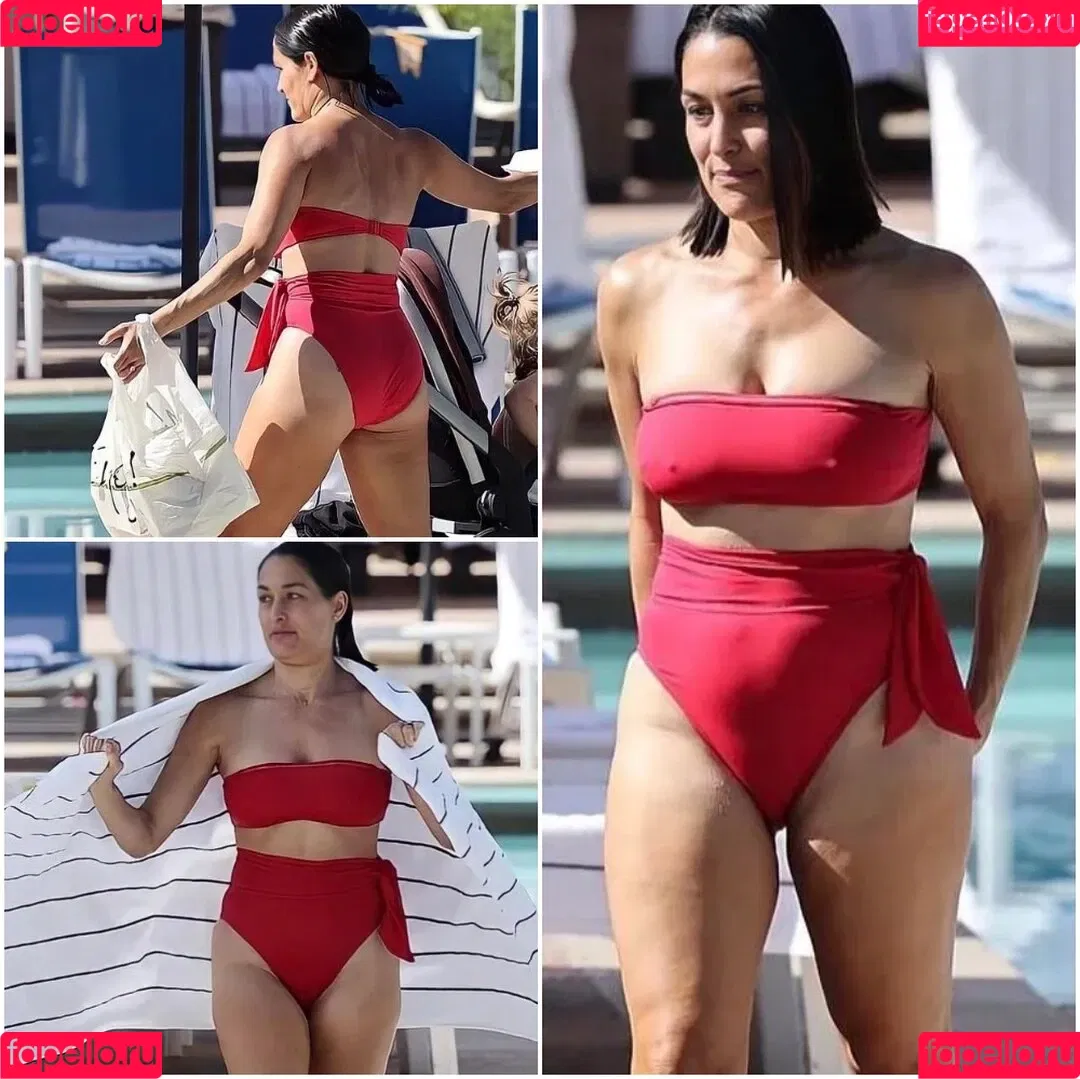 The Bella Twins: Onlyfans Photo Gallery 