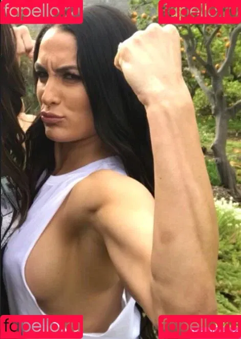 The Bella Twins: Onlyfans Photo Gallery 