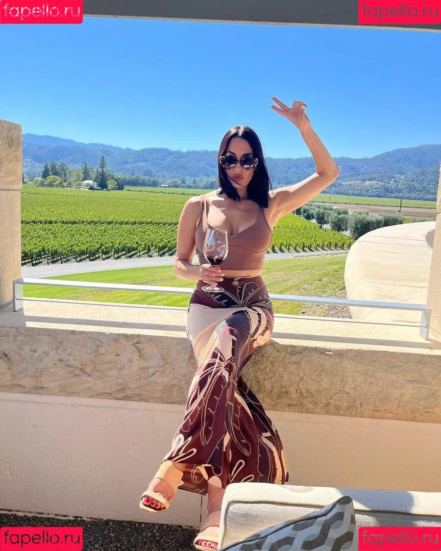 The Bella Twins: Onlyfans Photo Gallery 