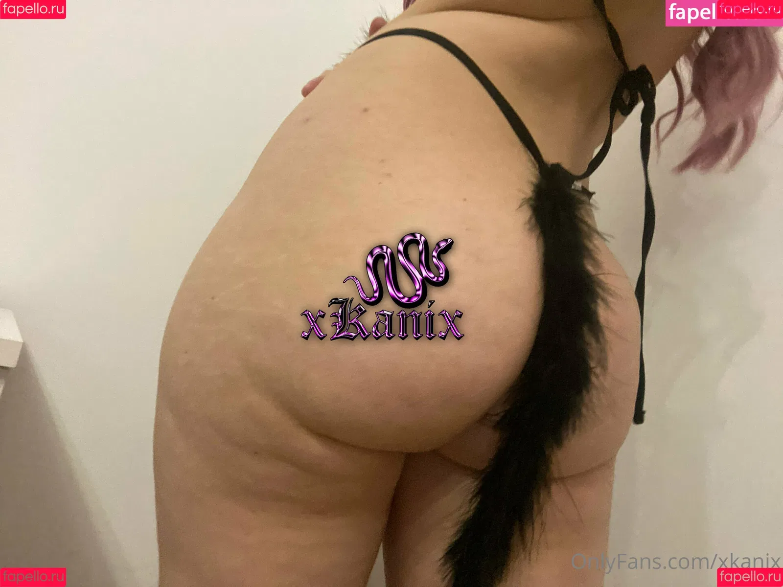 xkanix Onlyfans Photo Gallery 