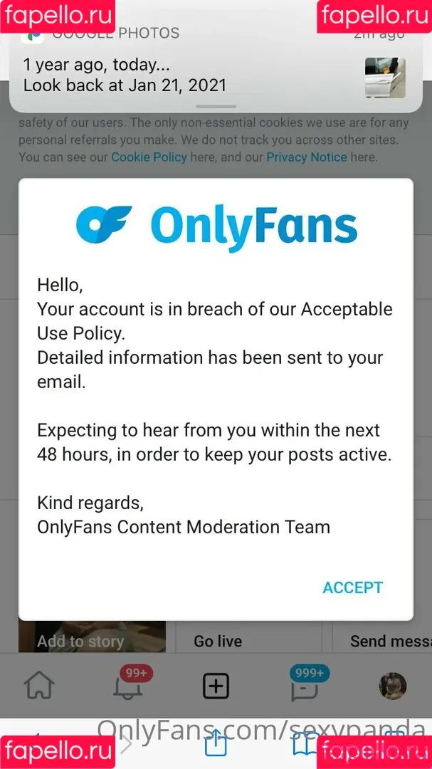 sexypanda Onlyfans Photo Gallery 