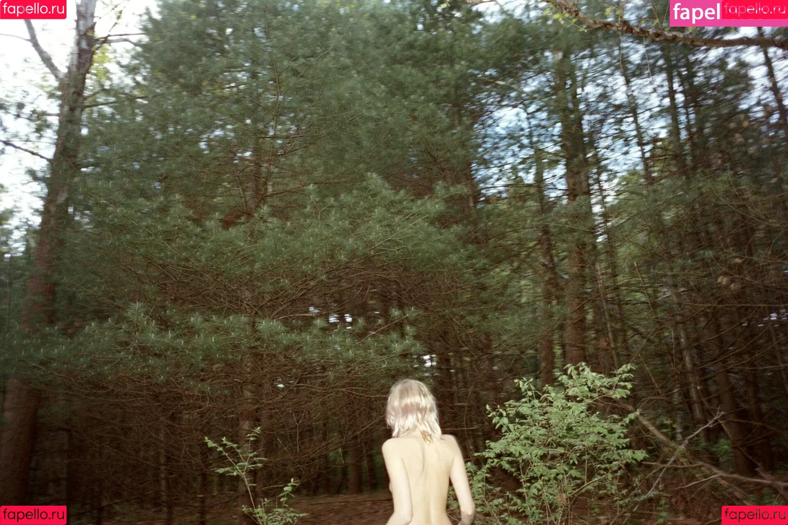 Abbey Lee Kershaw Onlyfans Photo Gallery 