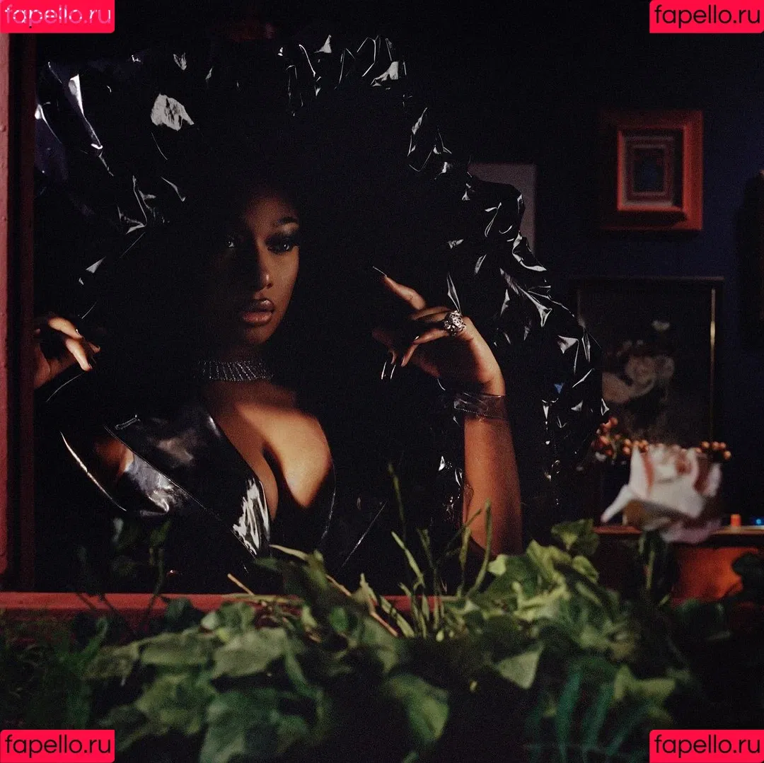 Megan Thee Stallion Onlyfans Photo Gallery 