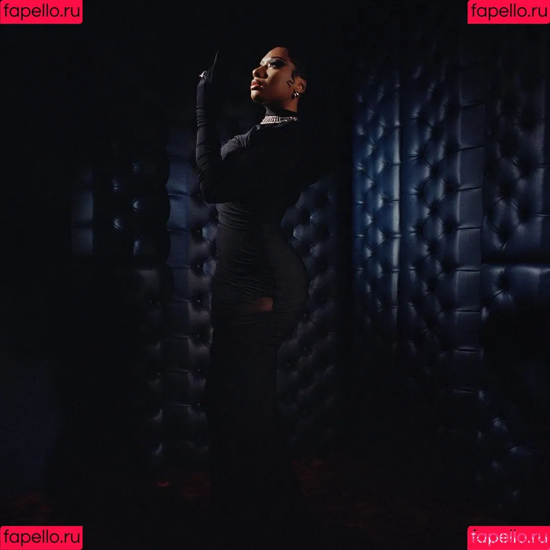 Megan Thee Stallion Onlyfans Photo Gallery 