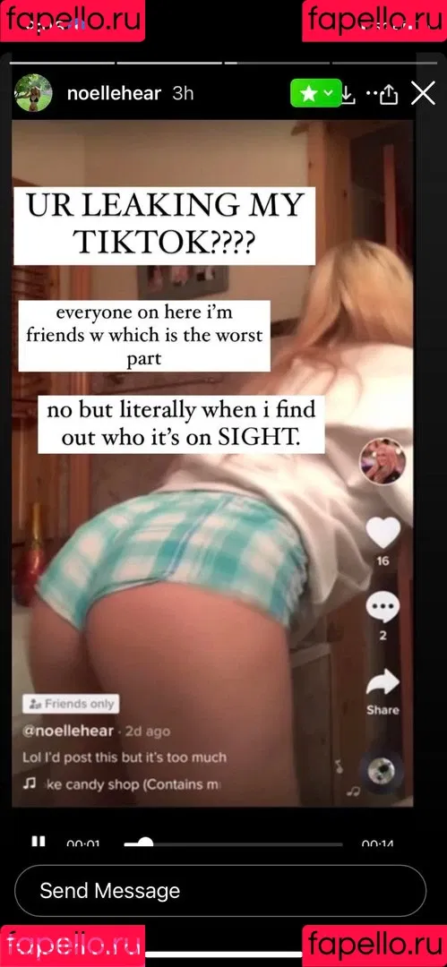 Noellehear Onlyfans Photo Gallery 