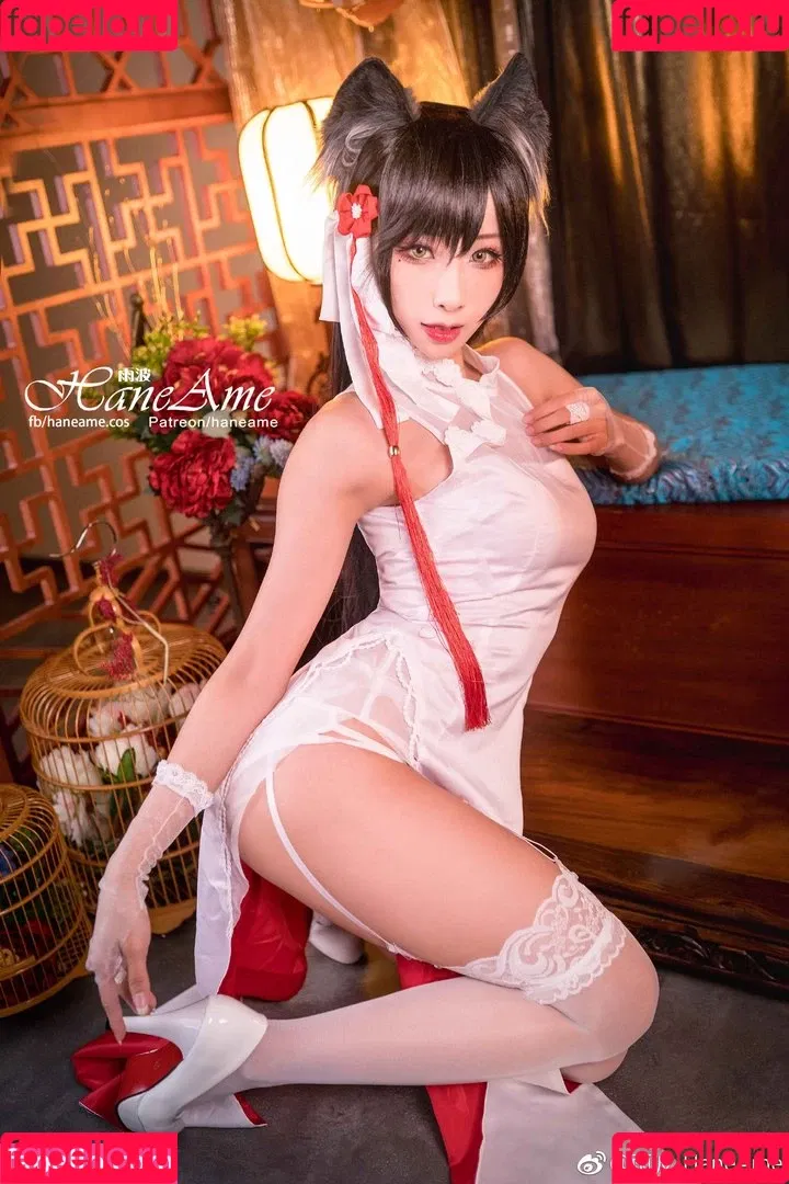Hana Bunny Onlyfans Photo Gallery 