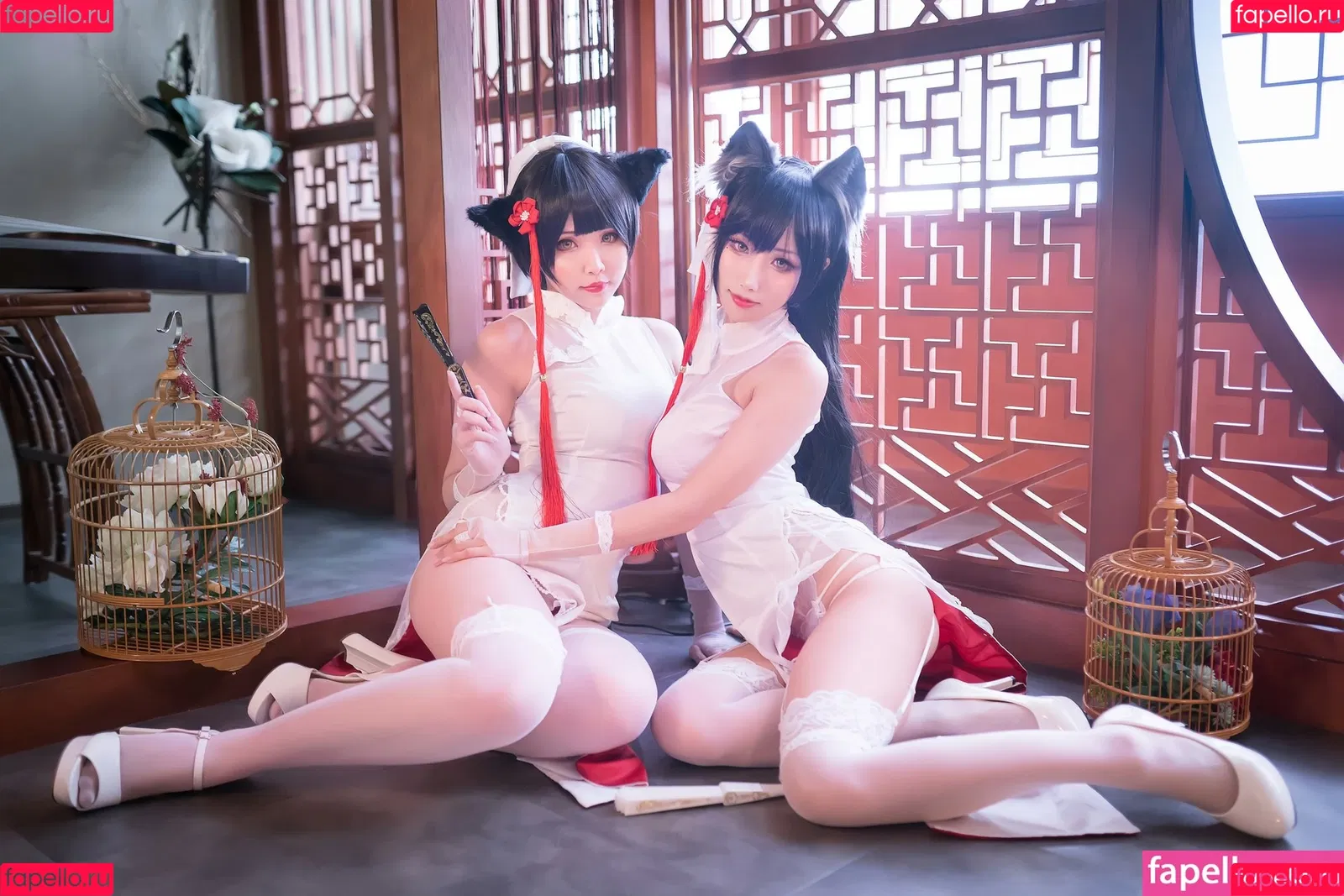 Hana Bunny Onlyfans Photo Gallery 