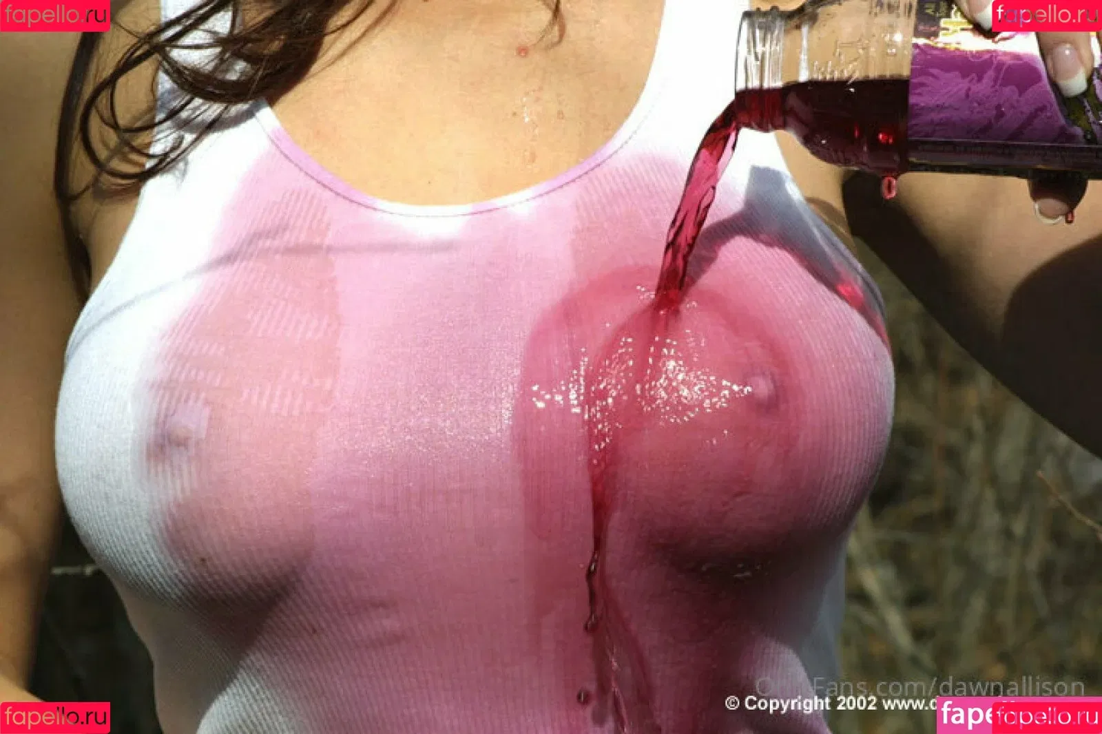 Dawn Allison Onlyfans Photo Gallery 