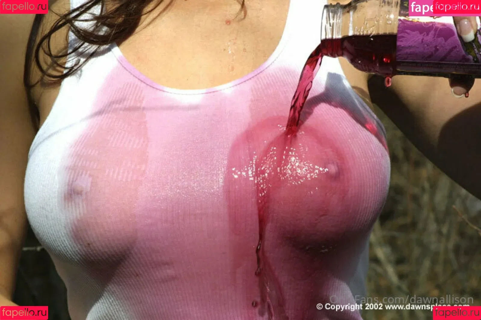 Dawn Allison Onlyfans Photo Gallery 