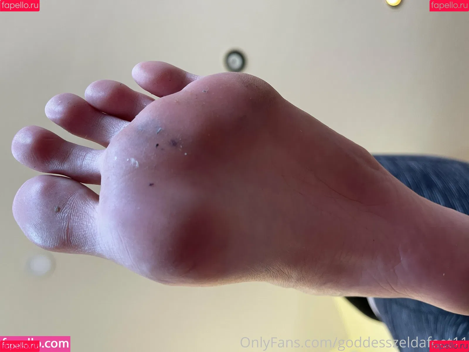 goddesszeldafeet11 Onlyfans Photo Gallery 