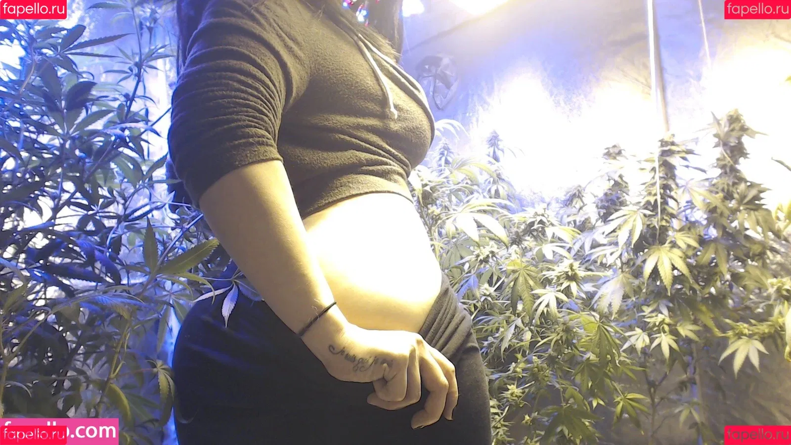Soyacide Onlyfans Photo Gallery 