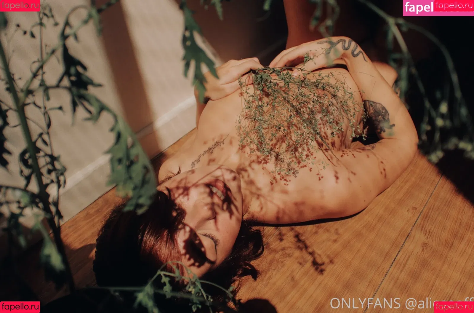 Aliese Onlyfans Photo Gallery 