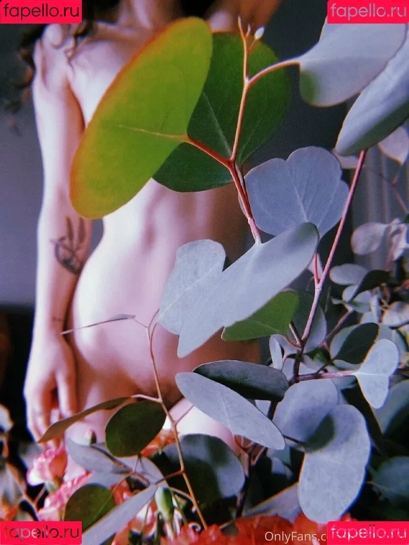 b4insanity Onlyfans Photo Gallery 